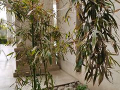 -春晖园度假酒店温泉