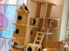 -藏猫猫咖啡主题馆(中央大道店)