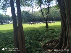 -广州雕塑公园