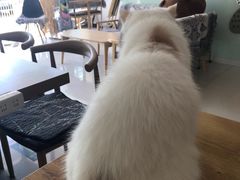 -平行世界·猫咖(首经贸店)