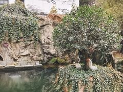 -千滋百味·醉江澜花园餐厅(街道口店)