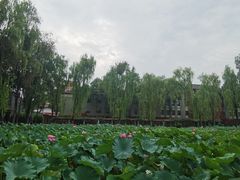 -四川大学(望江校区)