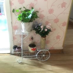 -本真坊美容美体沙龙