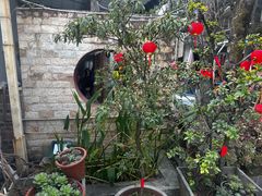 -瑞丰园庭院餐厅·白族传统家常菜