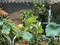 -园林美食城·本土农家菜(杨和镇店)