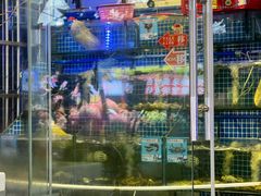 -Sasa的海(蜈支洲岛后海店)