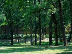 -东湖磨山景区