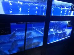 -严厨老坛酸菜鱼(吴江万宝店)