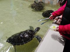 -常州海昌海洋探索馆