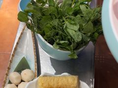 -探窝·竹笙椰子鸡(杨箕店)