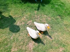 -HERRE·FARM 赫尔露营农场·团建聚会包场