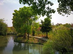 -南汇桃花村