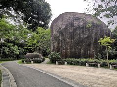-玉树公园