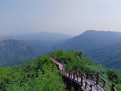 -大岭沟猕猴桃谷风景区