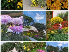 -共青国家森林公园-售票处