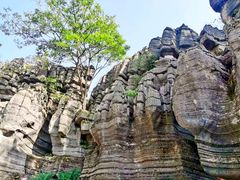 -梭布垭石林景区