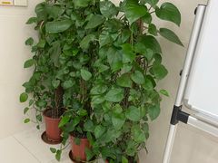 -中国农业银行(上海仓场路支行)