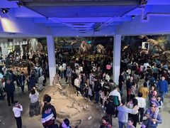 -自贡恐龙博物馆