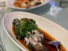 广式清蒸老虎斑-杭州临平万丽酒店·万丽轩中餐厅