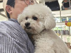 -八公叔叔宠物美容连锁(春申店)