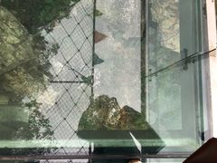 -大连冰峪旅游度假区