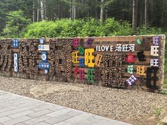 -汤旺河林海奇石景区