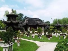 -盆景园(扬州大运河文化旅游度假区)