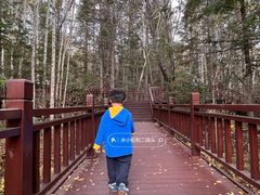 -汤旺河林海奇石景区