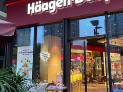 门面-哈根达斯(龙湖时代天街店)