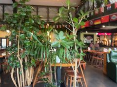 -普兰达德国餐厅·德式脆皮烤猪肘·自酿啤酒(观唐店)