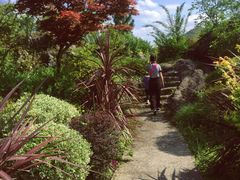 -云漫湖生态度假公园