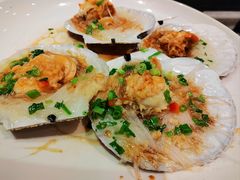 扇贝-健眺小海鲜(临海后山店)