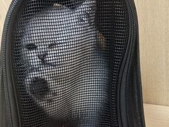 -中农大我爱我爱动物医院·核磁CT·猫病·24小时夜诊中心(石佛营店)