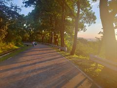 -风云岭森林公园