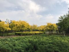 -北京麋鹿生态实验中心