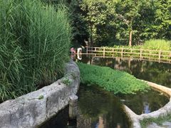 -成都市活水公园