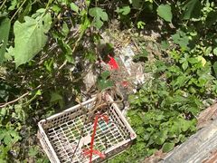 -爱侣宠医·鹦鹉专科·小型哺乳类·异宠专科(灵石路店)