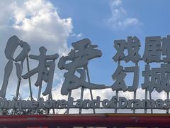 -荷兰花海