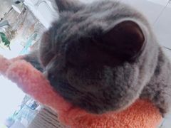 -小时光咖啡馆(北锣鼓巷店)