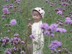 -杭州城北体育公园