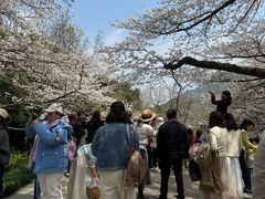 -杭州少年儿童公园