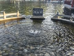 -百脉泉景区