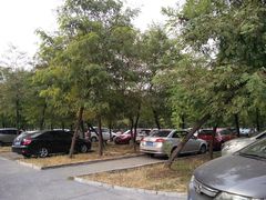 停车场-微山湖红荷湿地景区