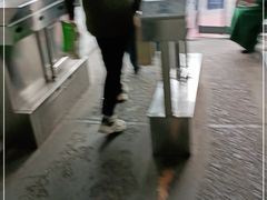 -新疆医科大学第一附属医院