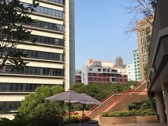 -香港大学