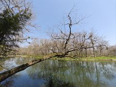 -婺源月亮湾
