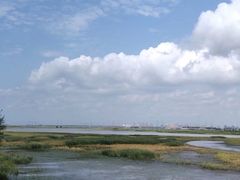 -呼兰河口湿地公园