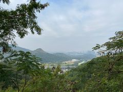 -梧桐山风景名胜区