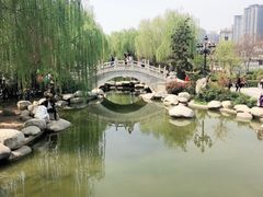 -西安青龙寺遗址景区