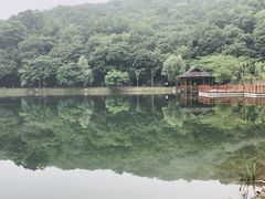 -采石矶景区